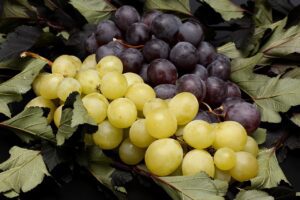 Tipos de Uvas